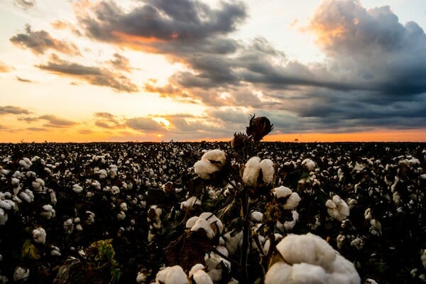 what is fair trade clothing