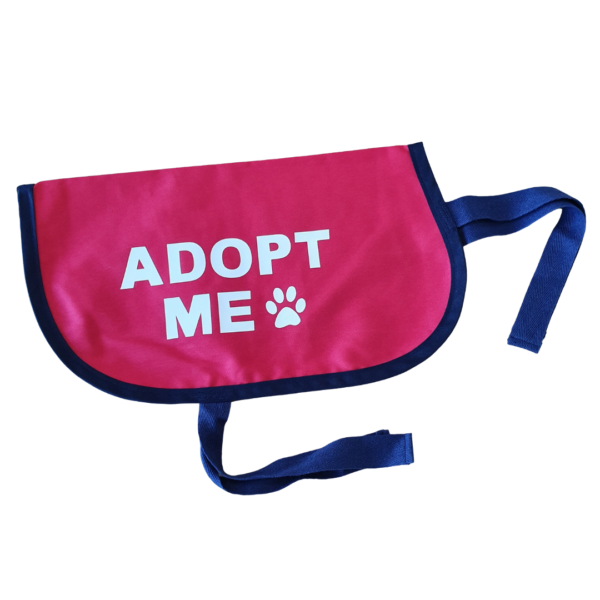 Adopt me vests - Image 3