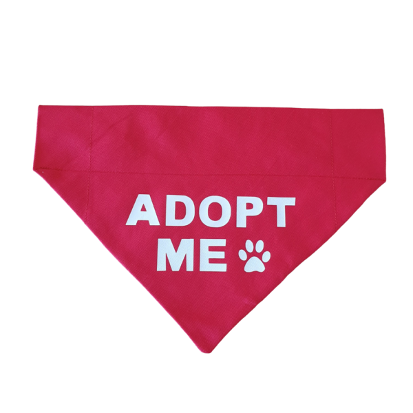 Adopt me bandanas - Image 2
