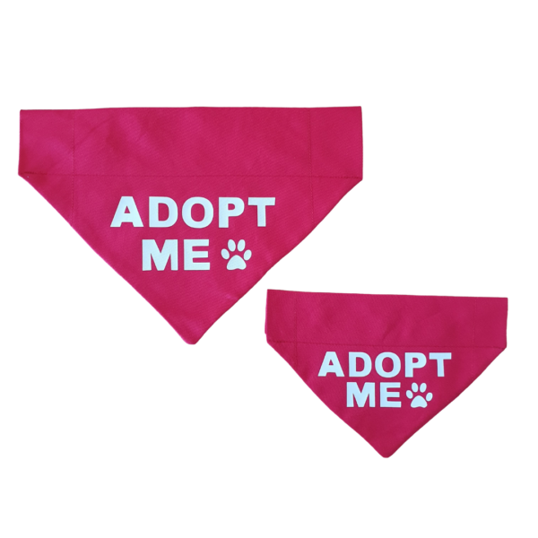 Adopt me bandanas - Image 3