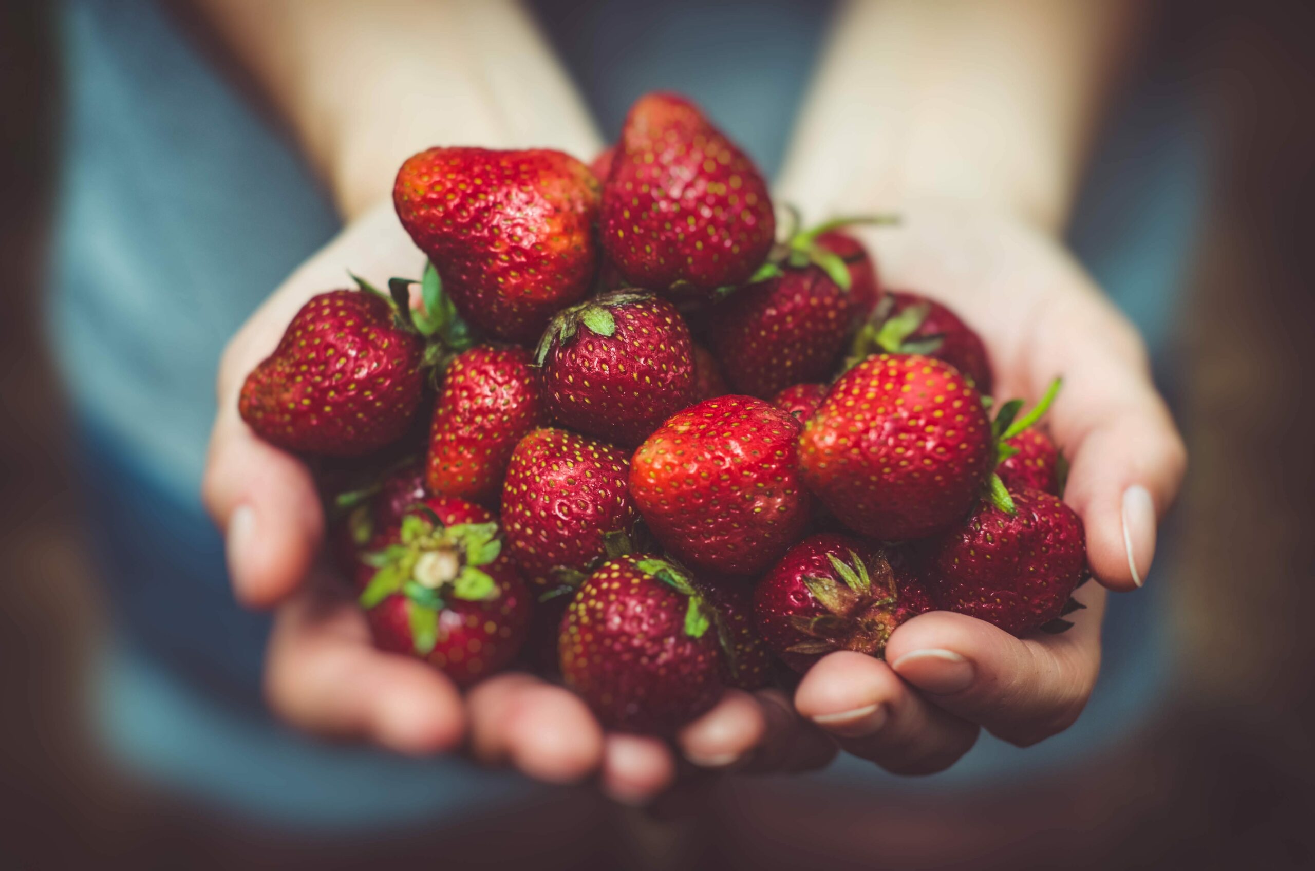 Can dogs eat strawberries?