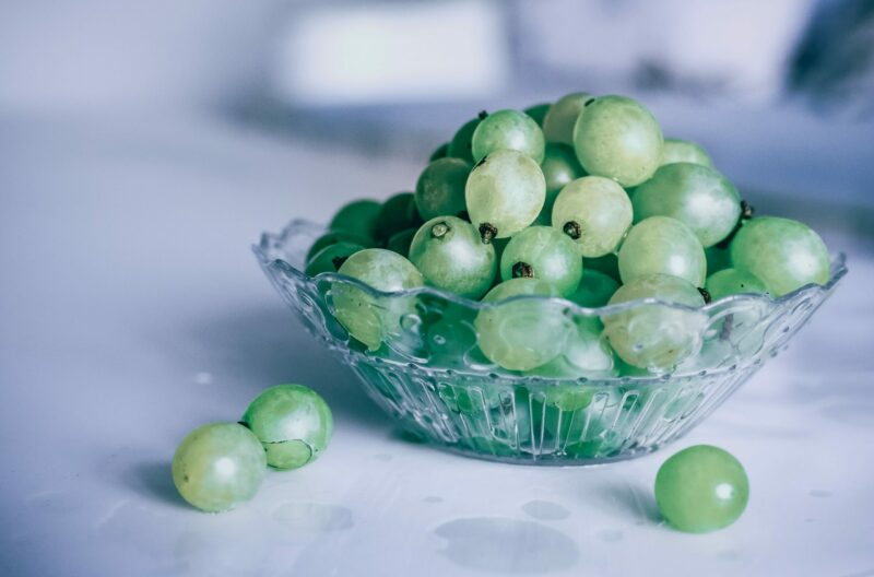 can dogs eat grapes